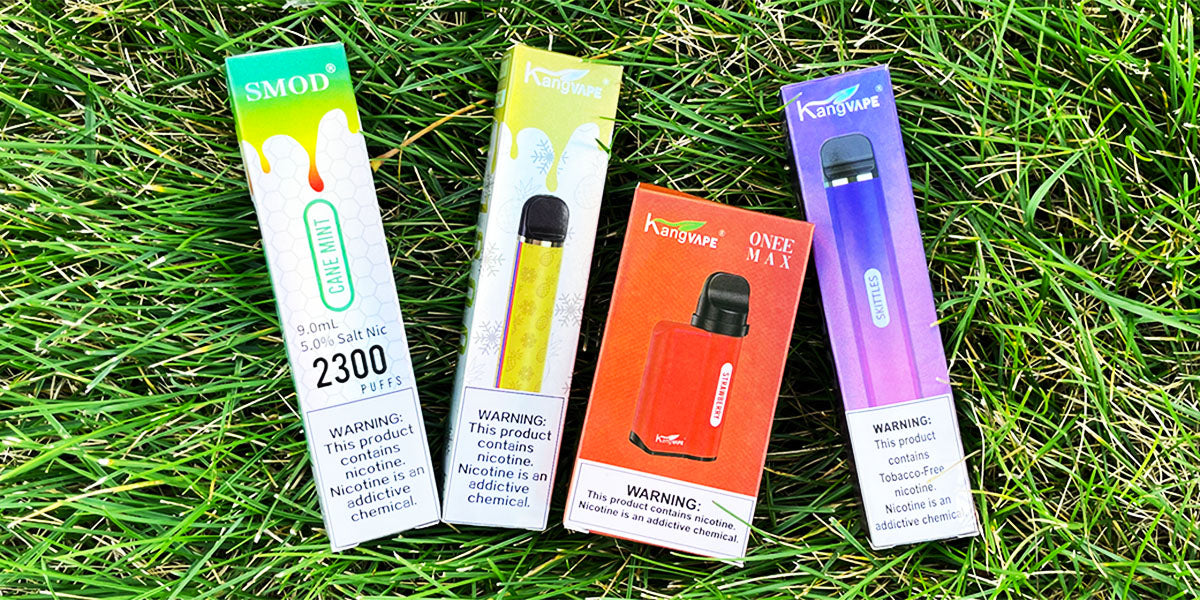 KangVape Review Best Format of Disposable Vape Ziip Stock