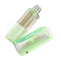 GEEK Bar Mate 60K Puffs Disposable