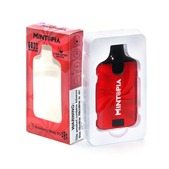 MiNTOPiA Vape 6000 Flavors